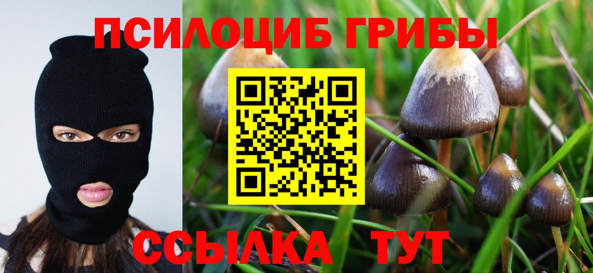 Дзержинский  Псилоцибиновые грибы Magic Shrooms  Вход с VPN 